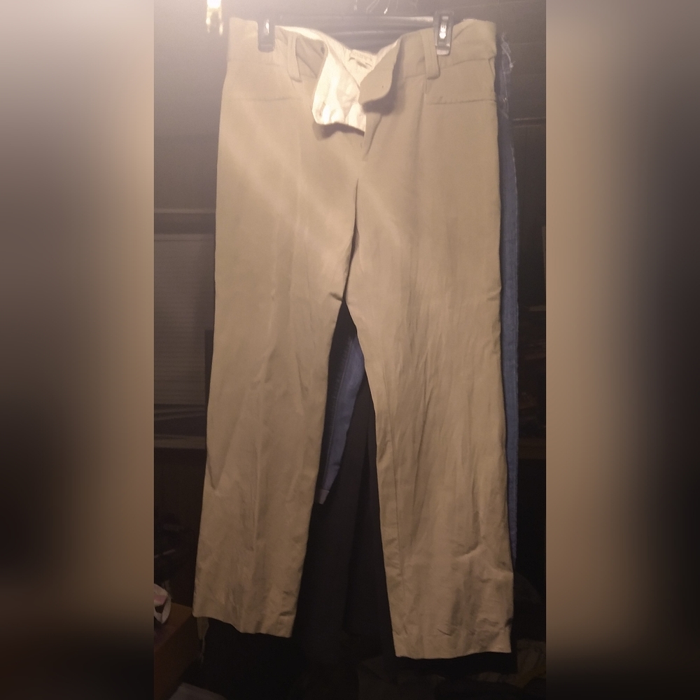 Banana Republic Sloan fit 14 slim tan women's pants